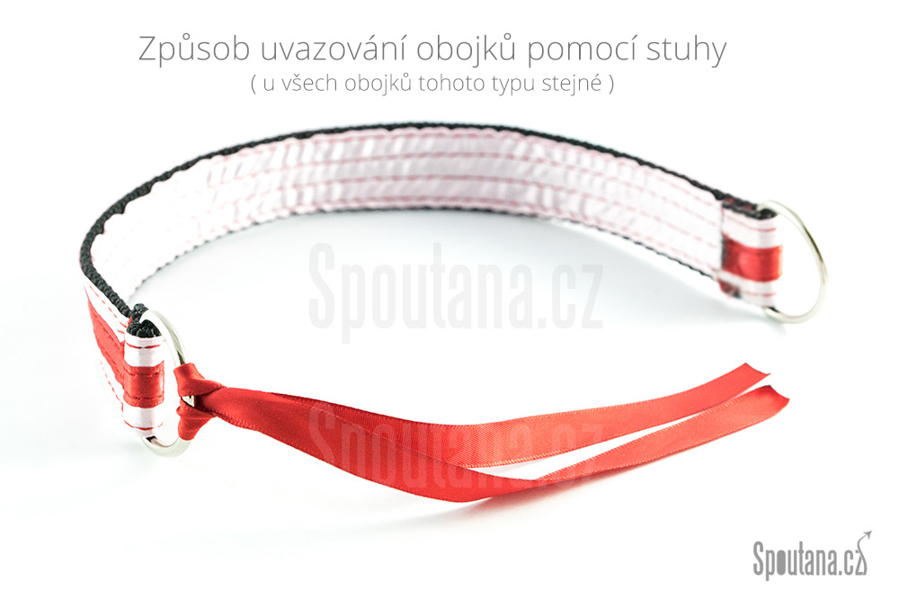 Romantický Obojek pro Poslušné Subinky VII. - Světlý