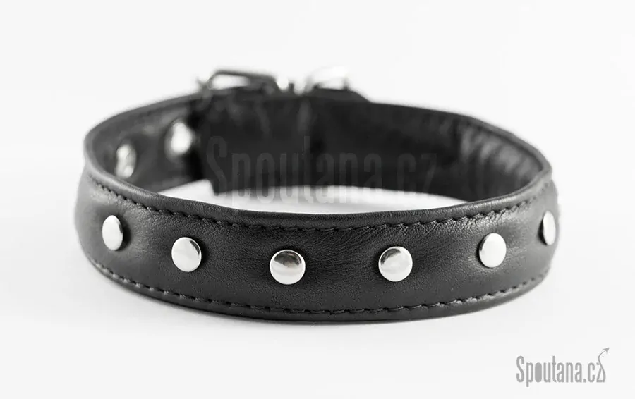 Kožený Fetish Obojek Polstrovaný s Nýtky "Asae"