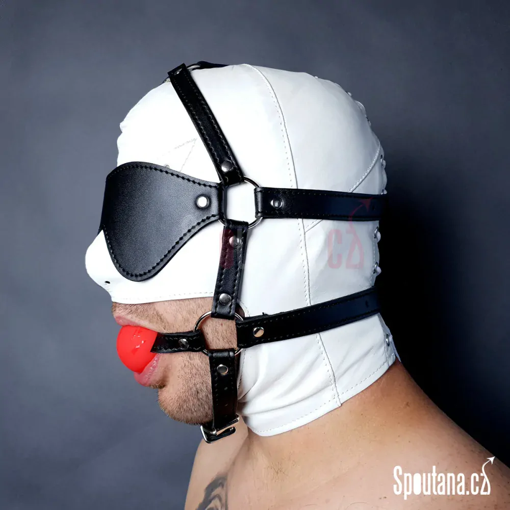 Roubík se škraboškou