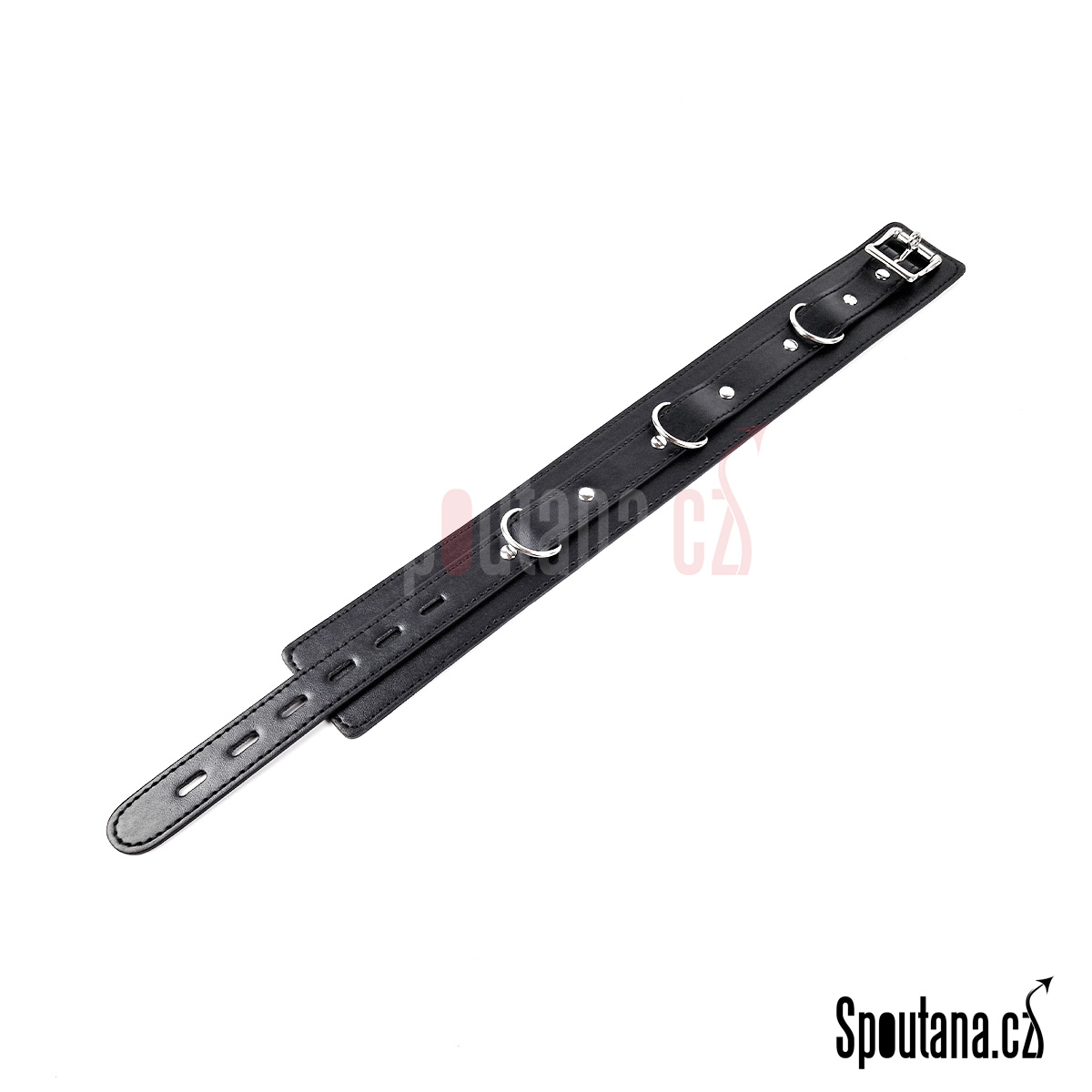 Klasický uzamykatelný obojek