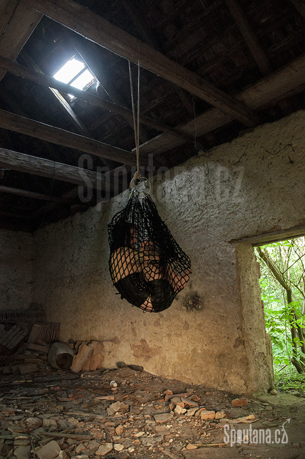 Shibari Kruh Členitý
