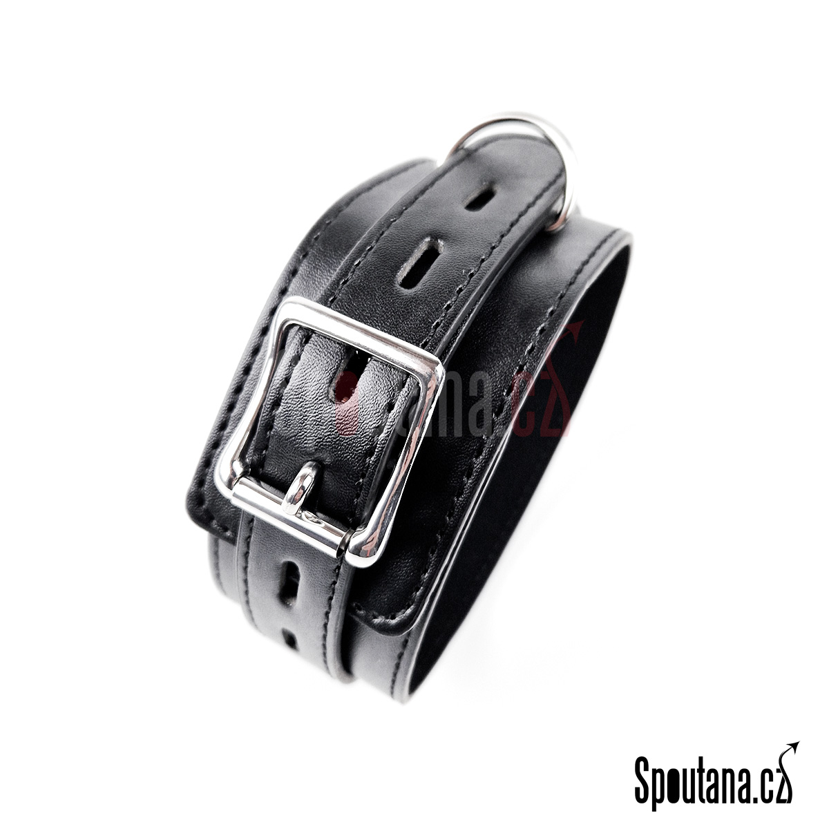 Klasický uzamykatelný obojek