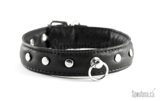 Kožený Fetish Obojek Polstrovaný s Nýtky "Asae"